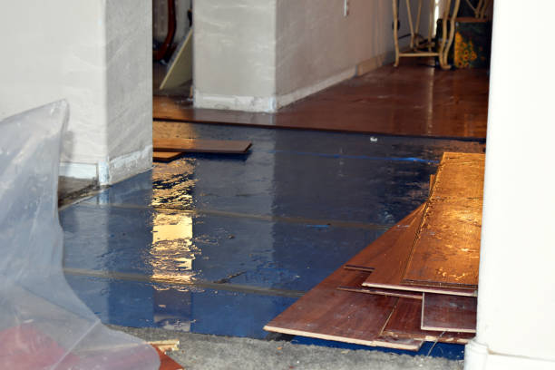 Professional Flood Damage Restoration technician working in Orient, OH